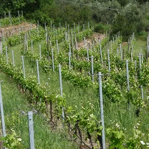  Alloggio per agriturismo Cà Dei Conti